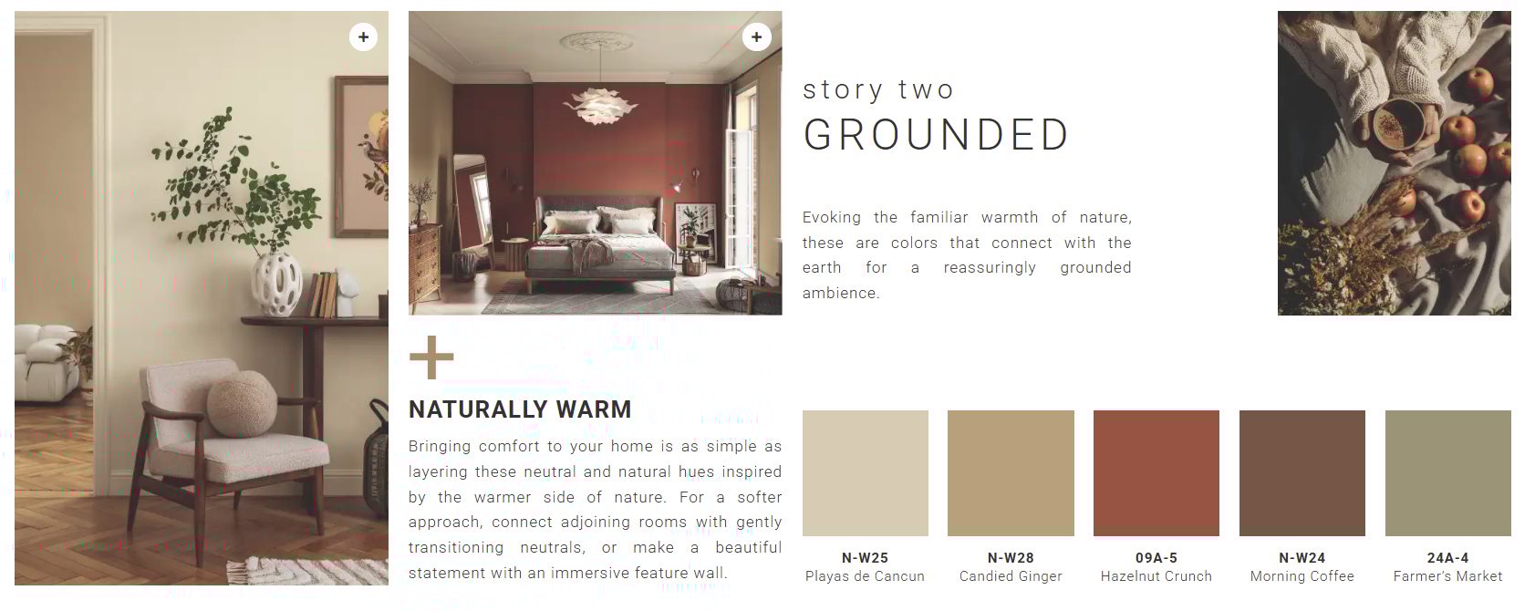 Clark+Kensington’s 2026 Color Trends