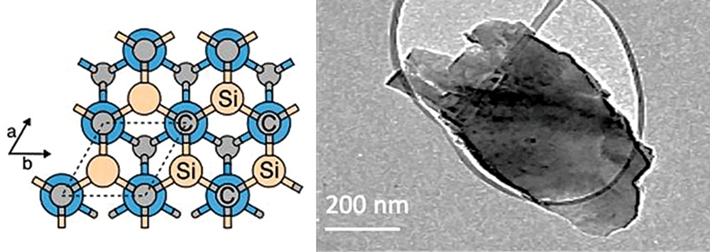 monolayer silicon carbide structure