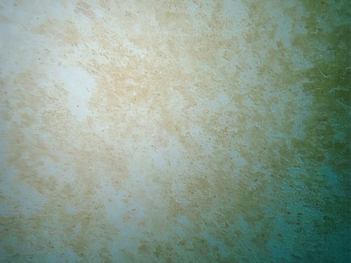 Reference biofouling images illustrating the range and extent of biofouling observed (A to D = vertical sides, E to F = flat bottom).