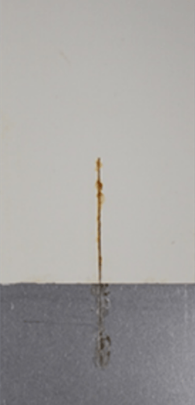 1,000-hour salt spray panels – medium oil soya alkyd primer 1 series (340 g/L VOC).