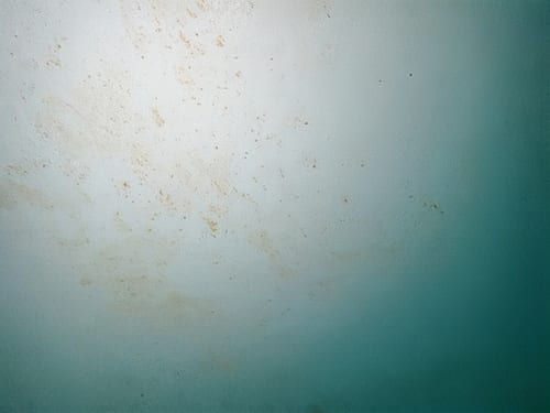 Reference biofouling images illustrating the range and extent of biofouling observed (A to D = vertical sides, E to F = flat bottom).