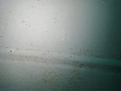 Reference biofouling images illustrating the range and extent of biofouling observed (A to D = vertical sides, E to F = flat bottom).