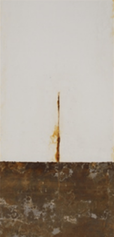1,000-hour salt spray panels — medium oil soya alkyd primer 2 series (450 g/L VOC).