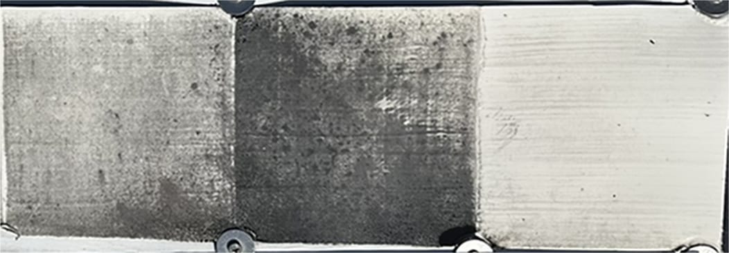 Panel aged in Florida for 71 months showing vastly different degrees of biofouling based on different resins.