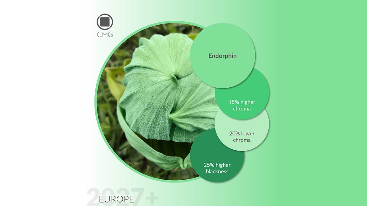 Endorphin Iterations