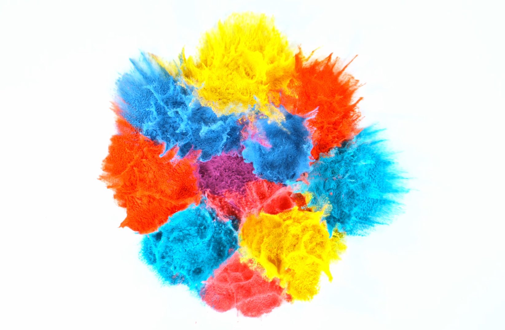 colorful powder ready for animation burst