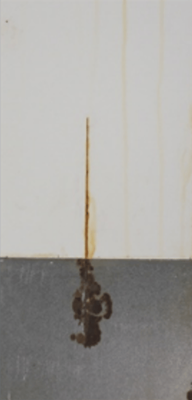 1,000-hour salt spray panels — short oil soya alkyd primer 3 series (450 g/L VOC).