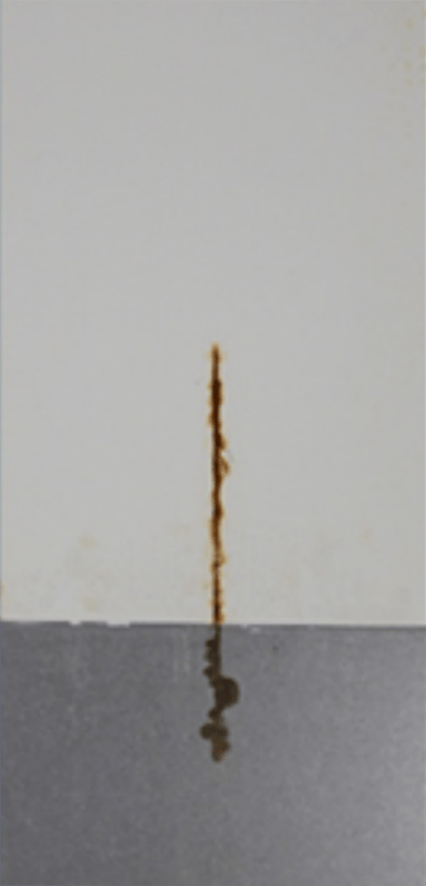 1,000-hour salt spray panels — short oil soya alkyd primer 3 series (450 g/L VOC).
