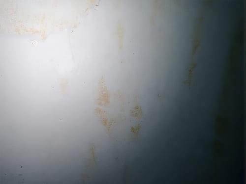 Reference biofouling images illustrating the range and extent of biofouling observed (A to D = vertical sides, E to F = flat bottom).