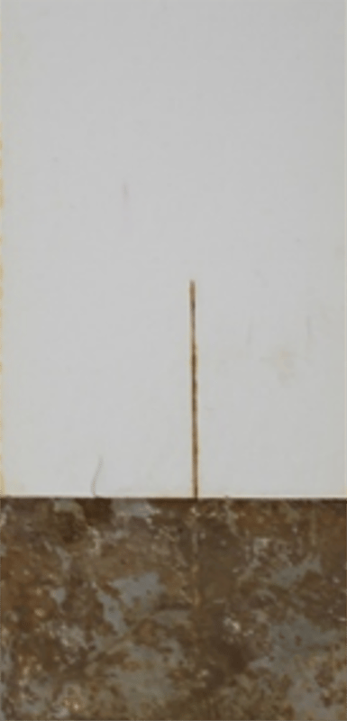 1,000-hour salt spray panels – medium oil soya alkyd primer 1 series (340 g/L VOC).