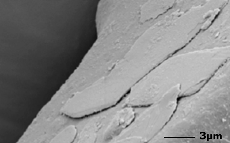 Scanning electron microscope (SEM) images of effect pigment incorporation in powder coatings.