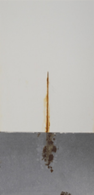 1,000-hour salt spray panels — medium oil soya alkyd primer 2 series (450 g/L VOC).