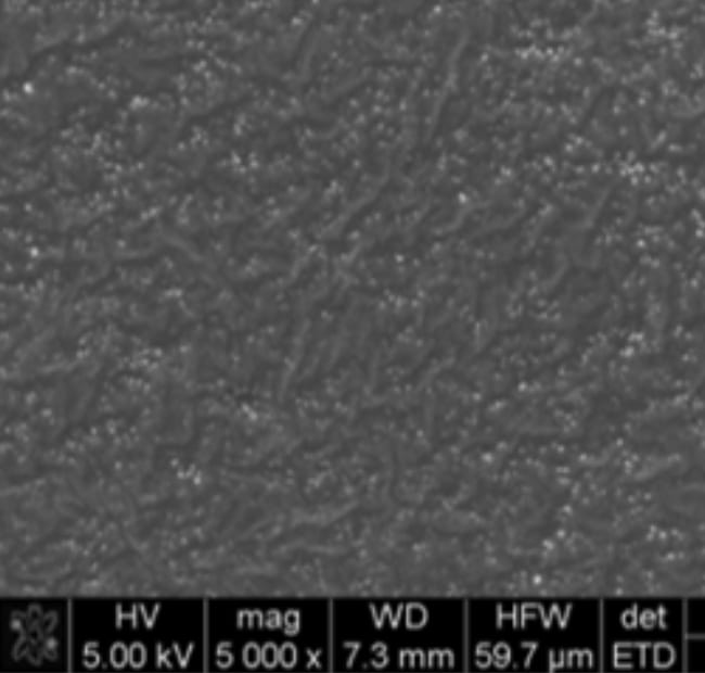 Illustration of composite emulsion technology showing TiO₂ particles associated with polymer emulsion particles, compared with a standalone TiO₂ particle with surface treatment layer, with accompanying microscopy images highlighting particle structure.
