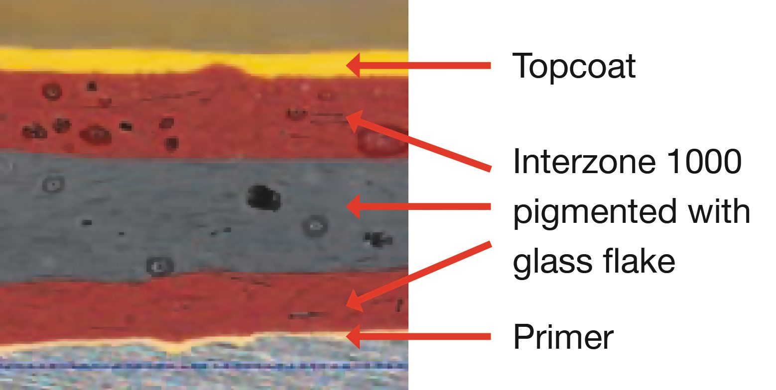 Cross section of the coating system.