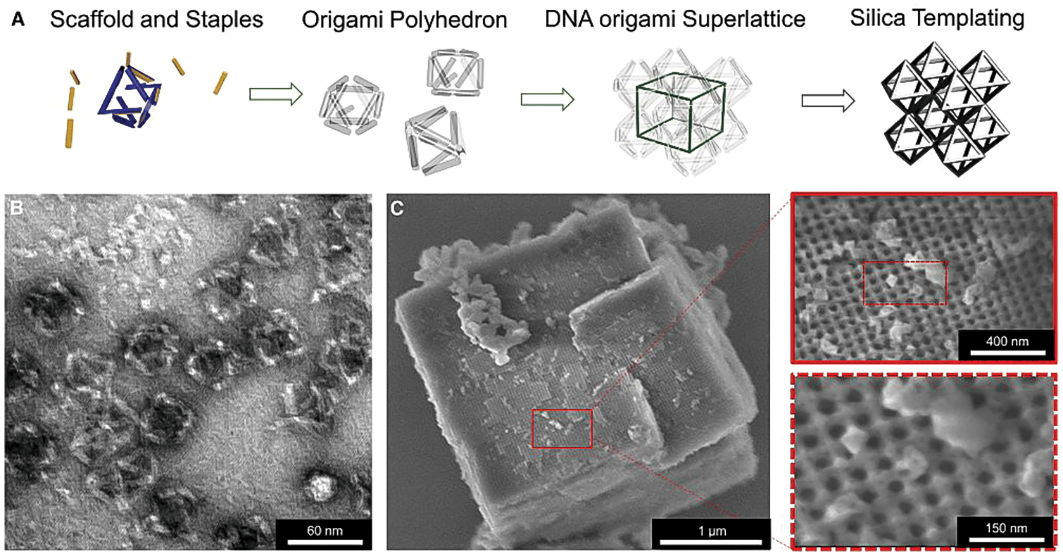 Glass-coated DNA scaffolds illustration