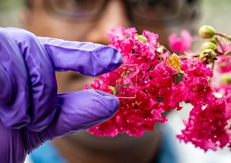 A gloved hand holds a transparent device reflecting pink flowers, blending technology with nature.