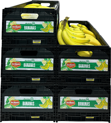 Reusable Plastic Containers (RPCs) for bananas