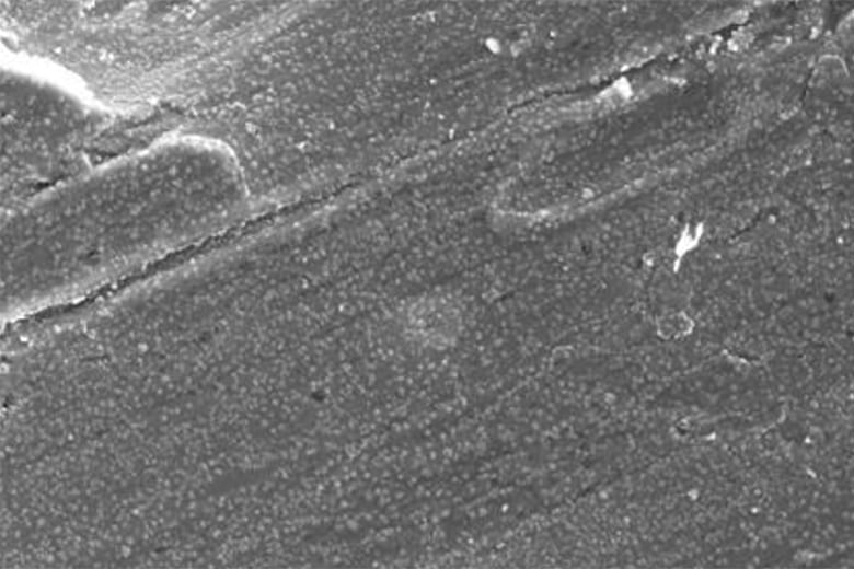 Cold-rolled steel surface image at 5000X magnification