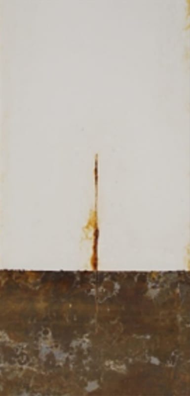1,000-hour salt spray panels — short oil soya alkyd primer 3 series (450 g/L VOC).