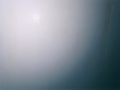 Reference biofouling images illustrating the range and extent of biofouling observed (A to D = vertical sides, E to F = flat bottom).