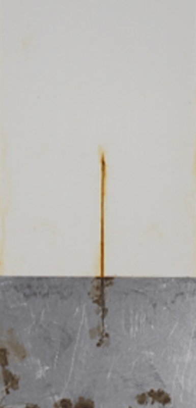 1,000-hour salt spray panels — medium oil soya alkyd primer 2 series (450 g/L VOC).