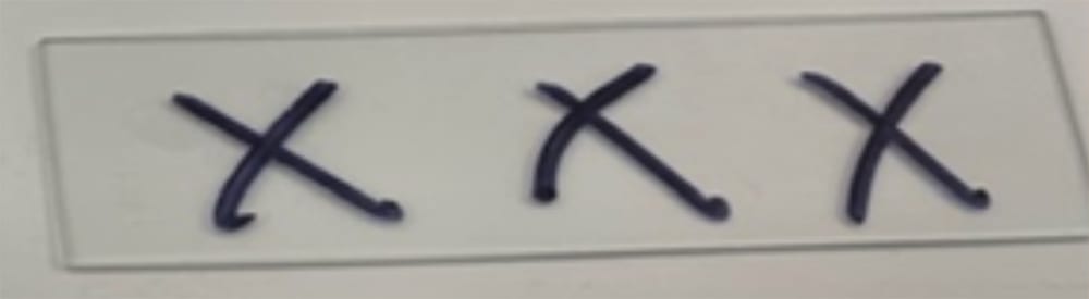 A clear slide with three dark blue X marks on it.