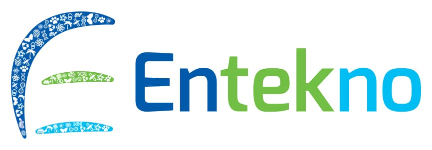 Entekno Logo