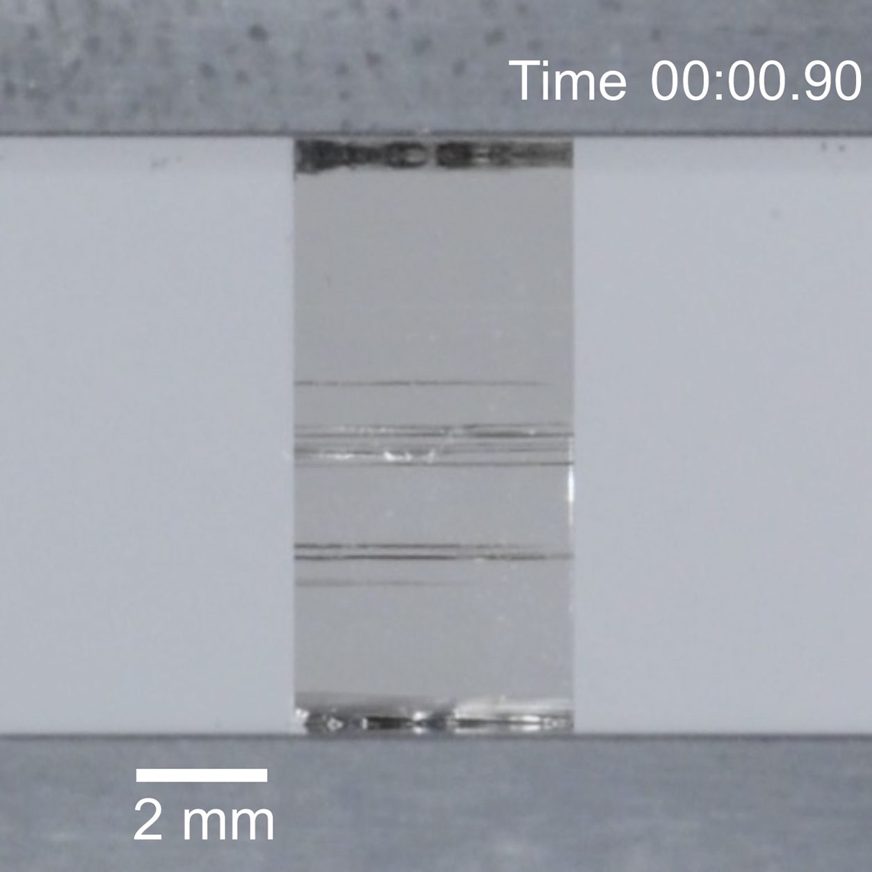 Single-crystal strontium titanate deformed at room temperature during bulk compression
