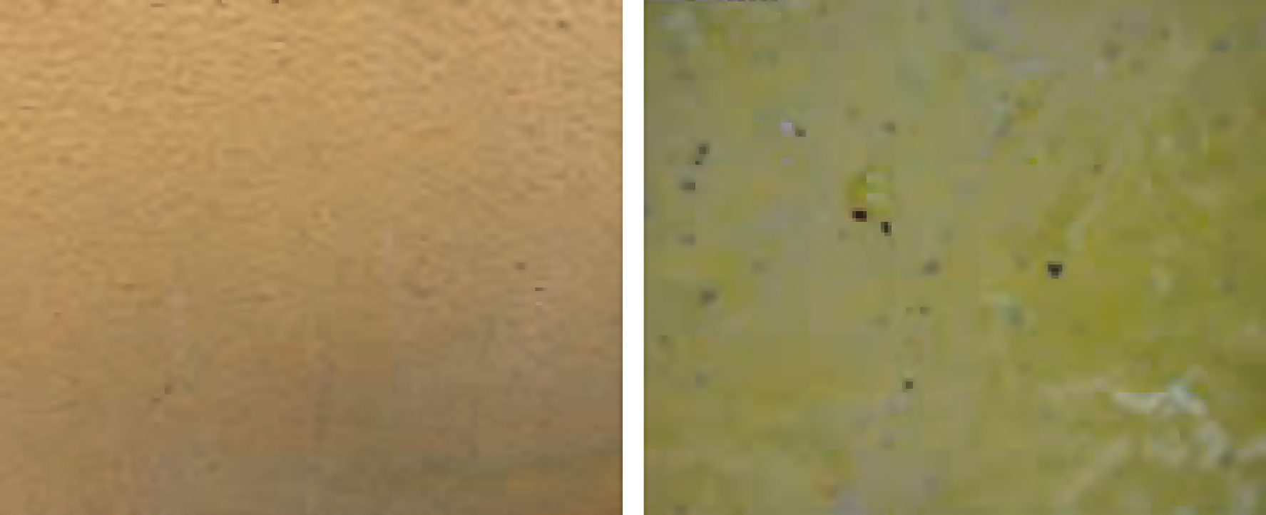 General appearance of the coating.