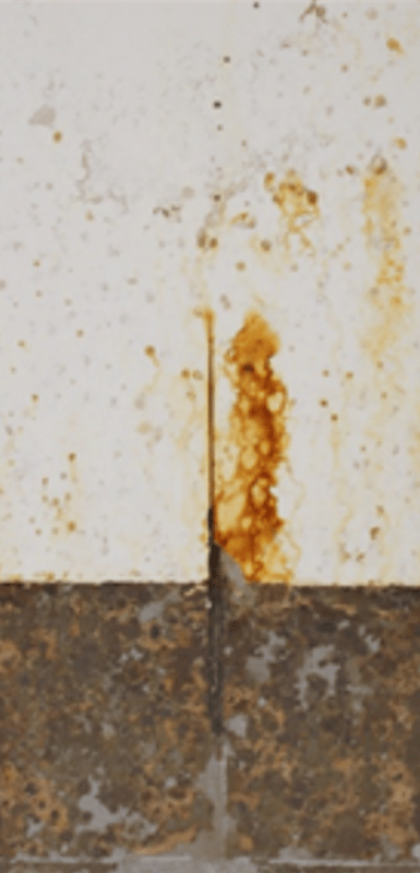 1,000-hour salt spray panels — short oil soya alkyd primer 3 series (450 g/L VOC).