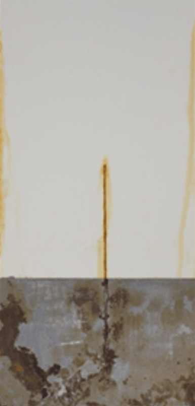1,000-hour salt spray panels — medium oil soya alkyd primer 2 series (450 g/L VOC).