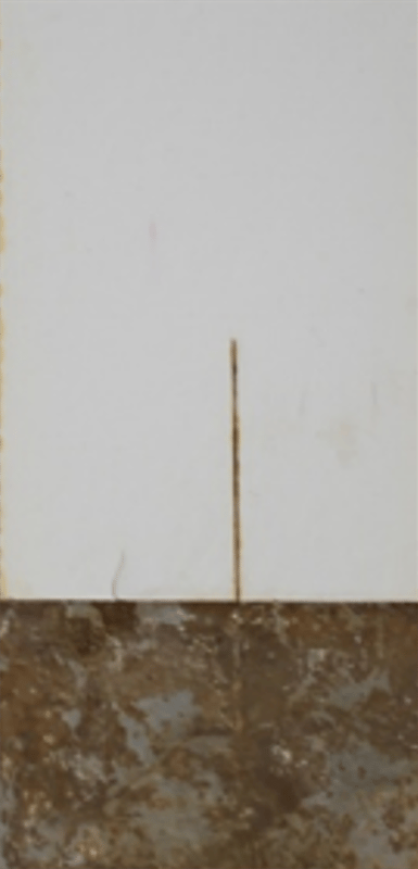 1,000-hour salt spray panels — medium oil soya alkyd primer 2 series (450 g/L VOC).