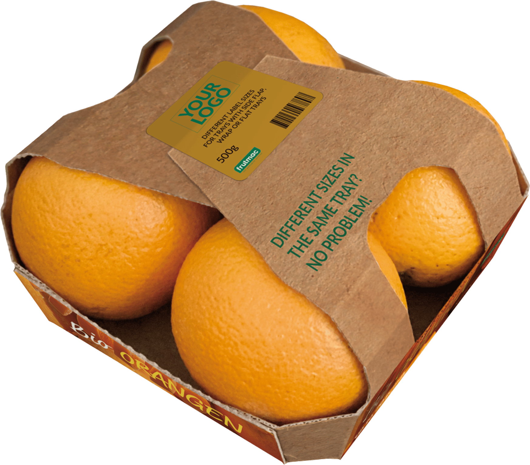 oranges in Sainsbury packaging against white background
