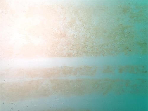 Reference biofouling images illustrating the range and extent of biofouling observed (A to D = vertical sides, E to F = flat bottom).