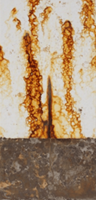1,000-hour salt spray panels — medium oil soya alkyd primer 2 series (450 g/L VOC).