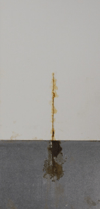 1,000-hour salt spray panels — short oil soya alkyd primer 3 series (450 g/L VOC).