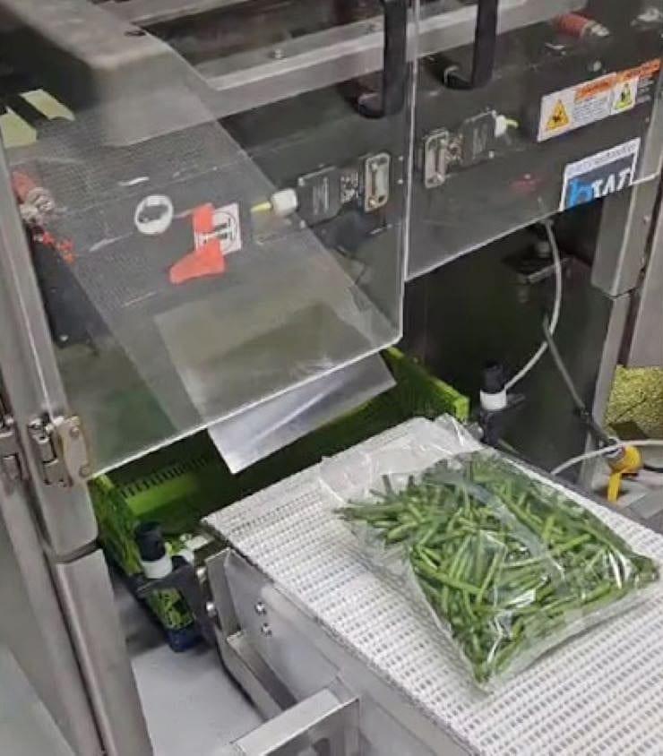 green bean packaging on machinery