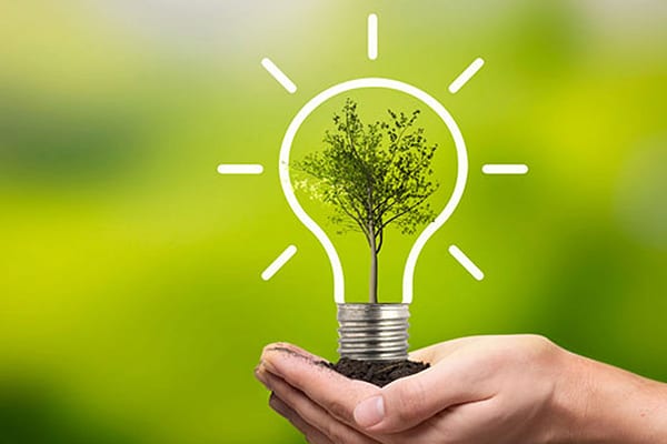 Sustainability abstract with hand holding lightbulb holding a seedling