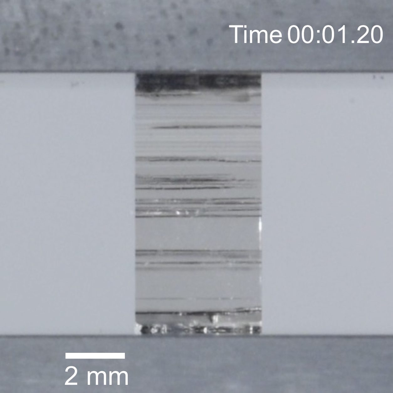 Single-crystal strontium titanate deformed at room temperature during bulk compression