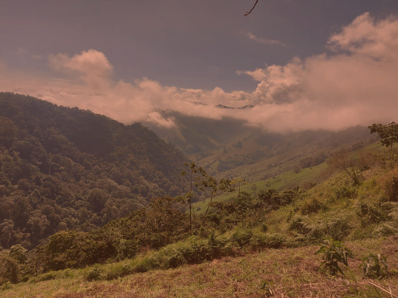 Mountainous landforms, atmospheric phenomenon, Natural landscape, Mountain, Nature, Hill, Vegetation, Highland, Ecoregion, Wilderness