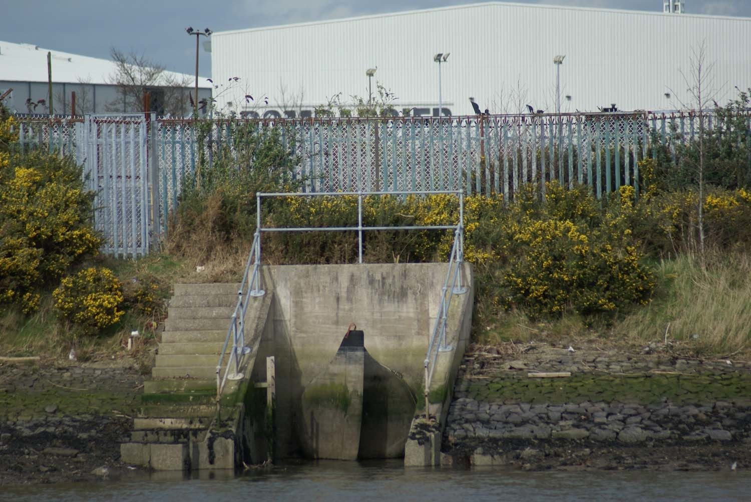 Water resources, Plant, Line, Grass