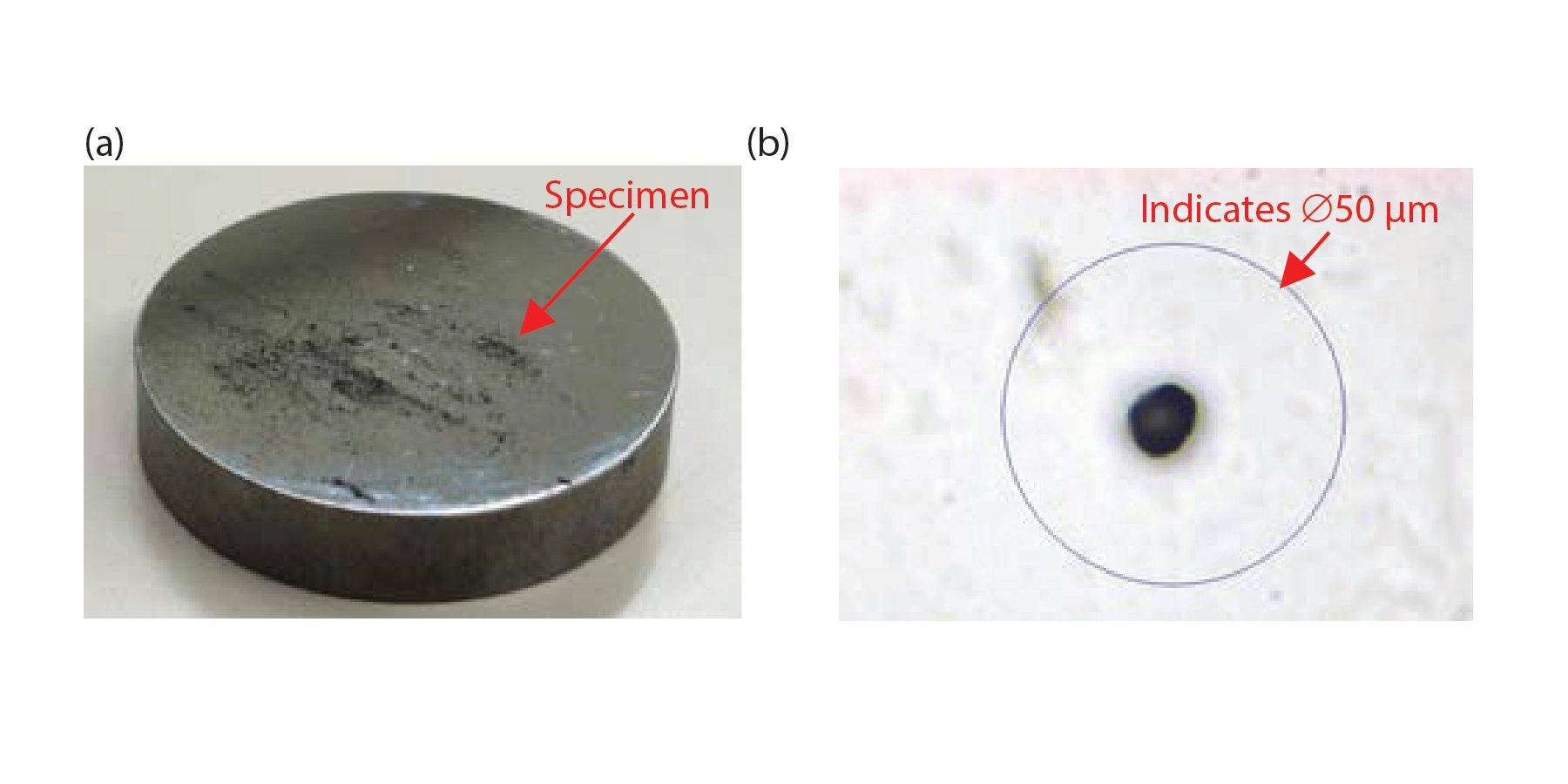 Figure 2: 2a shows graphite anode material dispersed on the lower compression platen; 2b shows an individual particle viewed prior to analysis.