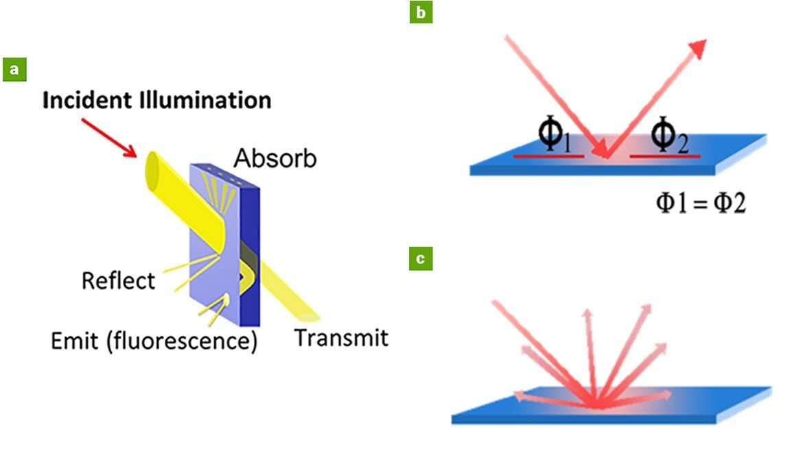 Figure 2: (a) Light interaction on surfaces. (b) Specular surfaces; angle of reflection equals angle of incidence (phi1 = phi2). (c) Non-specular (diffuse) surfaces.