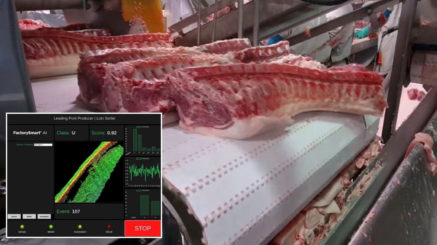 Figure 3. 3D classification of pork loins traveling on a high-speed conveyor  Courtesy of LMI Technologies Inc.