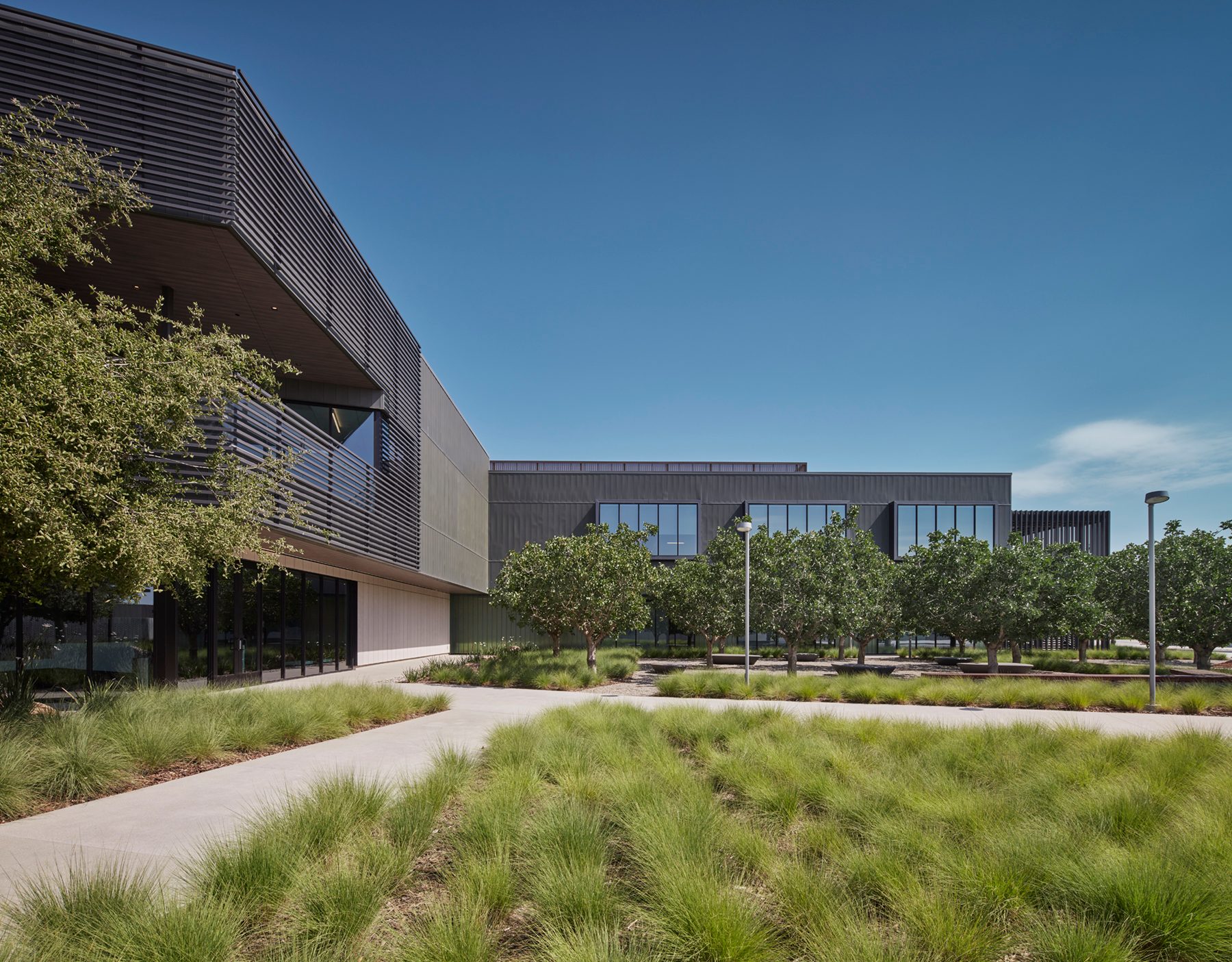Land lot, Urban design, Sky, Plant, Building, Window, Tree, Grass, Landscape