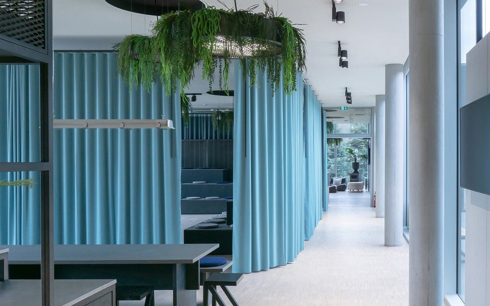 Modern office interior with teal curtains, a large hanging plant fixture, and a hallway leading outside.