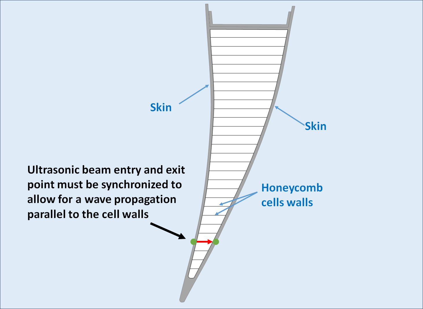 Cross-section of a wing flap illustrating the variations of honeycomb cell walls vs skin layers