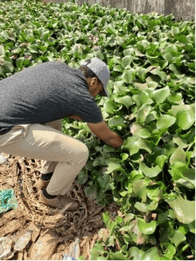 Wege Prize&#x2019;s Legacy of Advancing a Circular Economy Accentuates Earth Day&#x2019;s Ideals