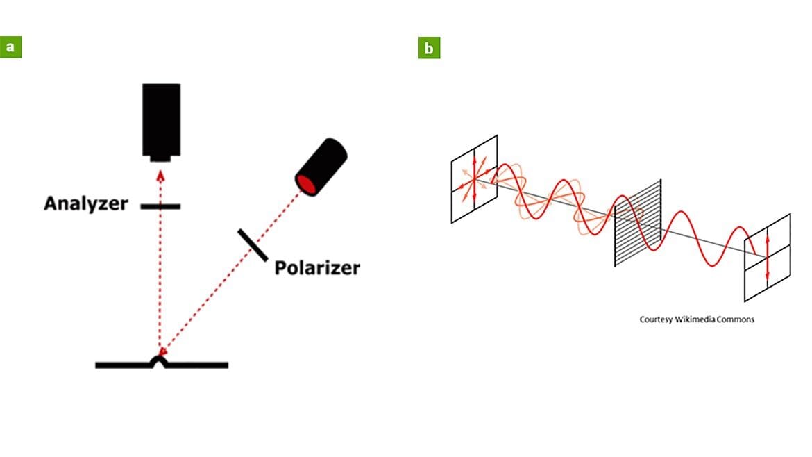 Figure 7: An arrangement of relative optical paths between a polarizer and an analyzer. (a) Front lighting arrangement. (b) Single-wave oscillation through a linear polarizer.