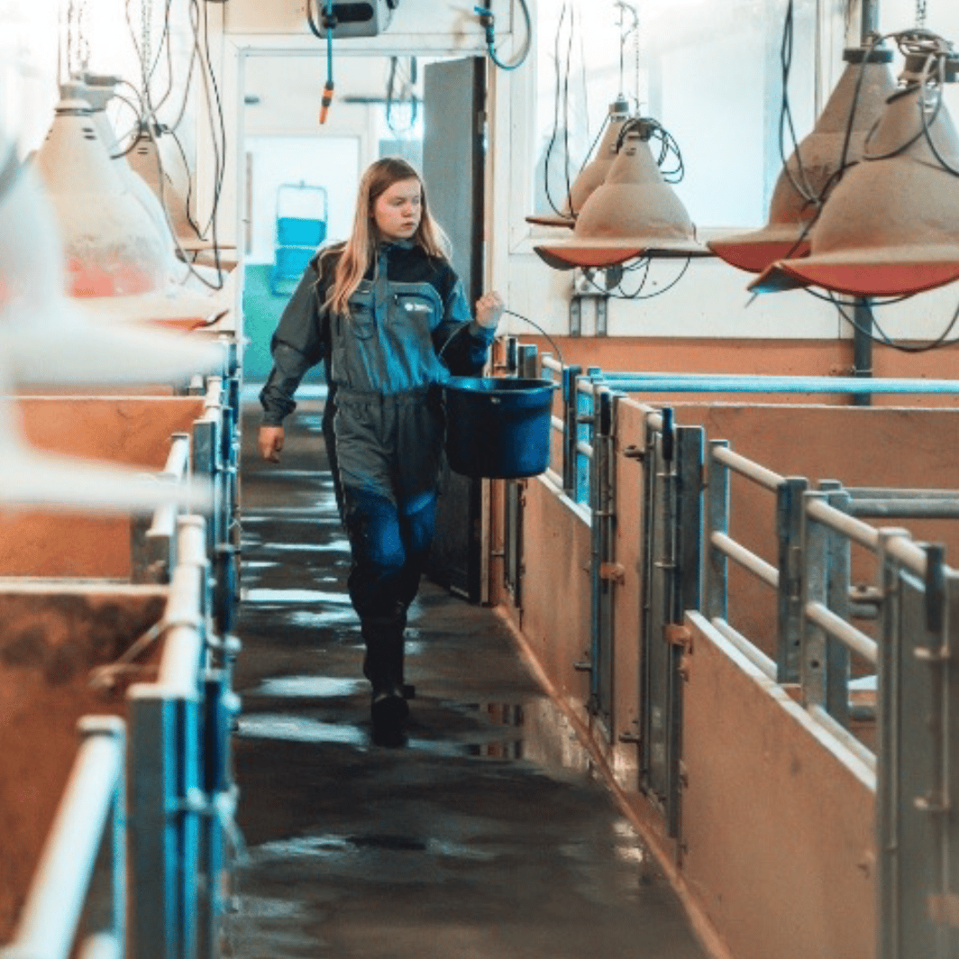 Woman in work clothes walks through barn aisle with bucket.